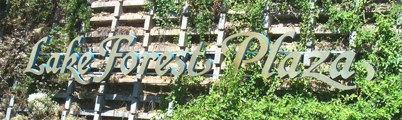 lake forest shopping center